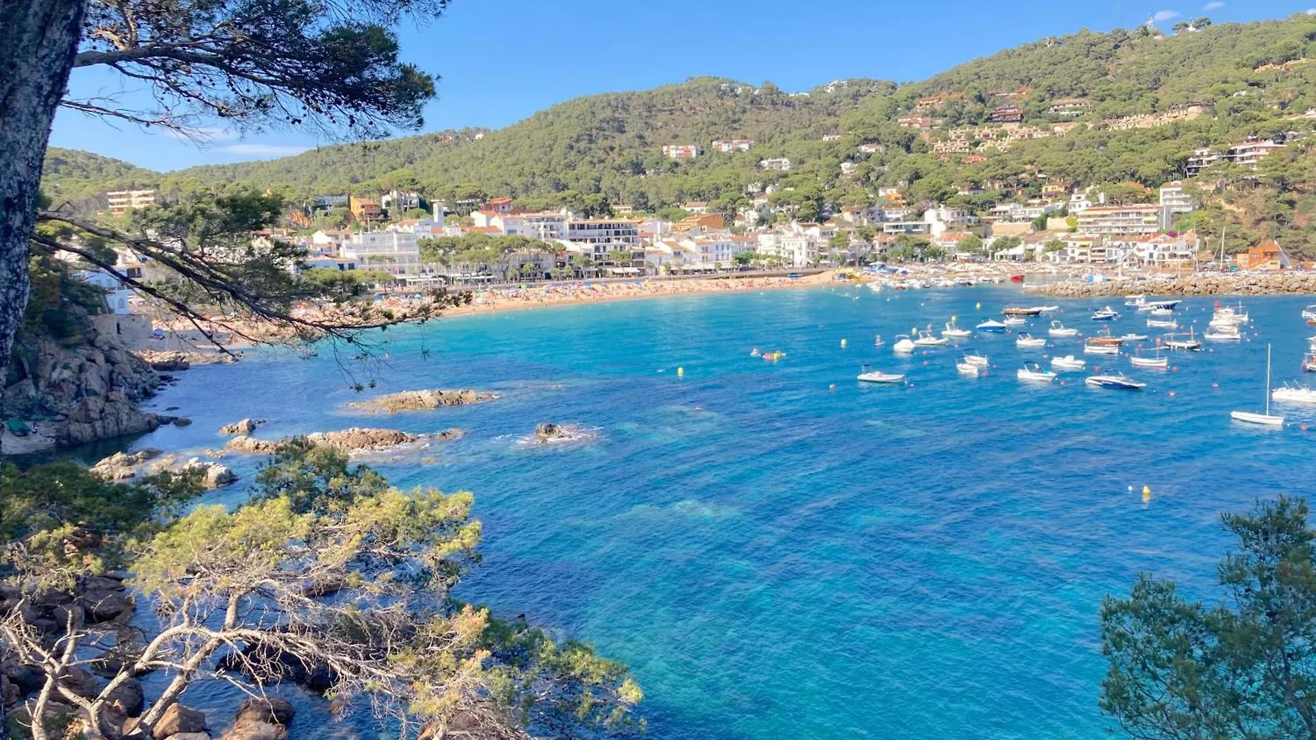 Maria Planta Apartment Calella De Palafrugell Spain