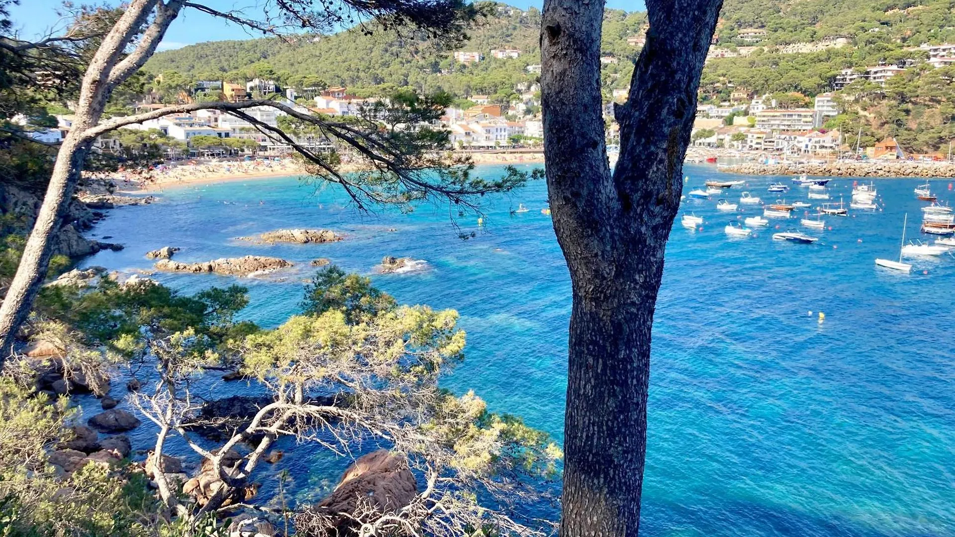Maria Planta Apartment Calella De Palafrugell 0*,  Spain